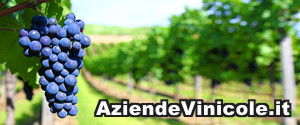 AziendeVinicole.it - Portale delle Aziende Vinicole e Produttori VitiVinicoli del migliore Vino Italiano